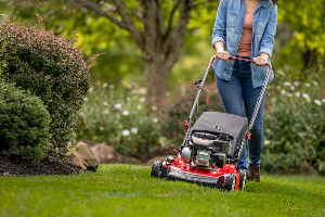Push Mowers