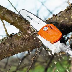 Pole Pruner
